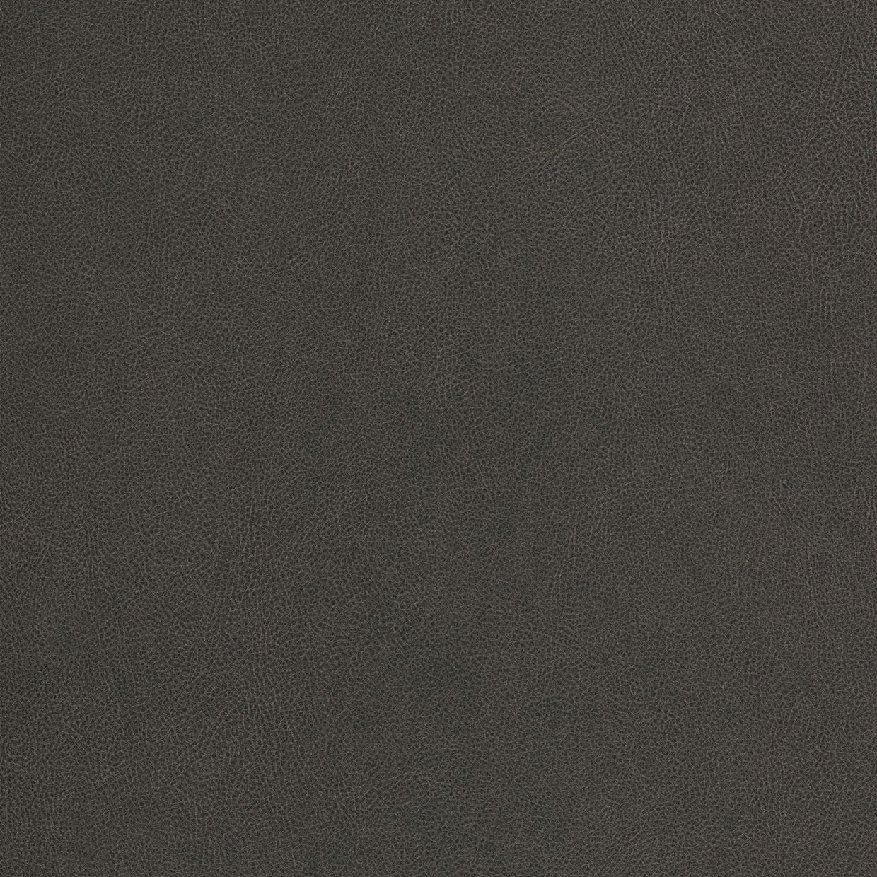 Truffle - NE40