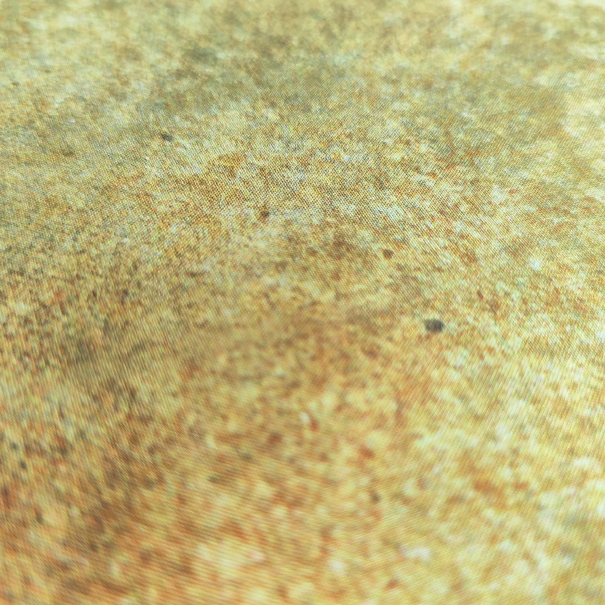 Form´it - Desert - 1 Rolle = 10 lfm  = 12m²