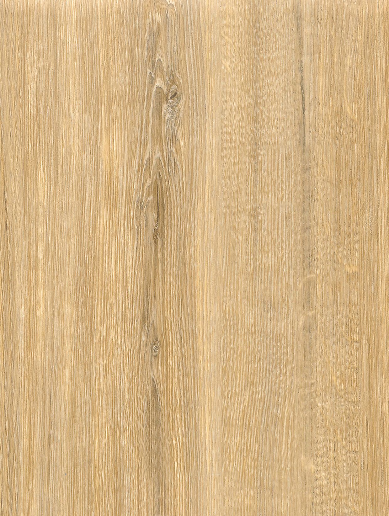 Bumpy Oak - CT82
