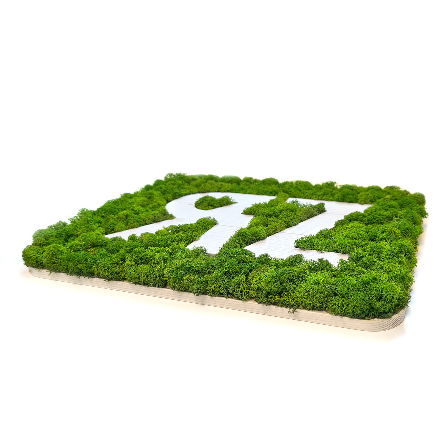 Islandmoos Logos / Schriften - Fichte - Negativ