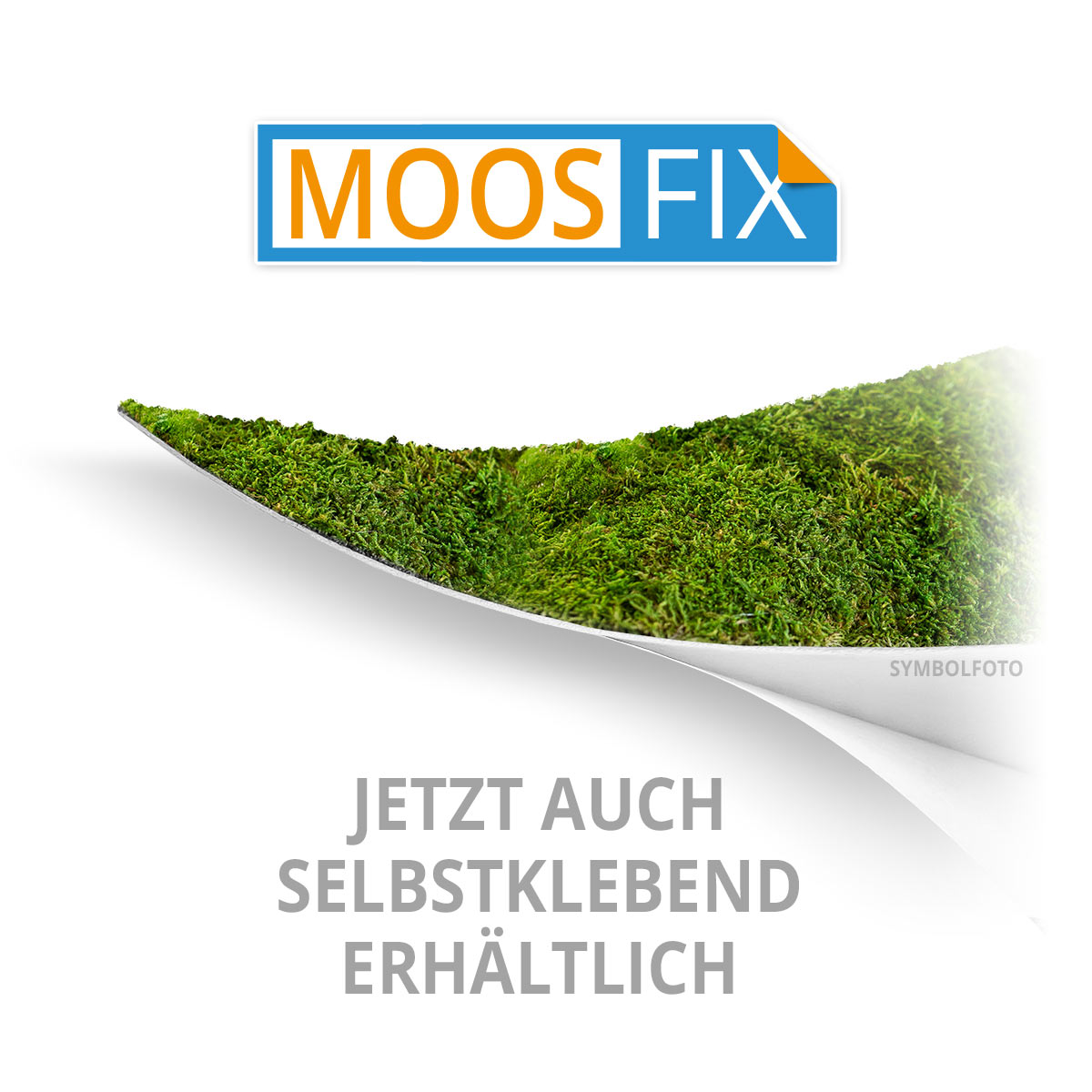 Islandmoos Logos / Schriften - Fichte - Negativ