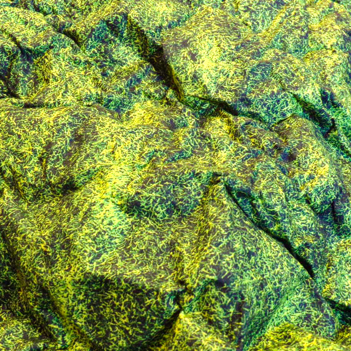 Form´it - Moss - 1 Rolle = 10 lfm  = 12m²